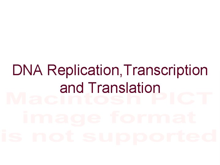DNA Replication, Transcription and Translation 