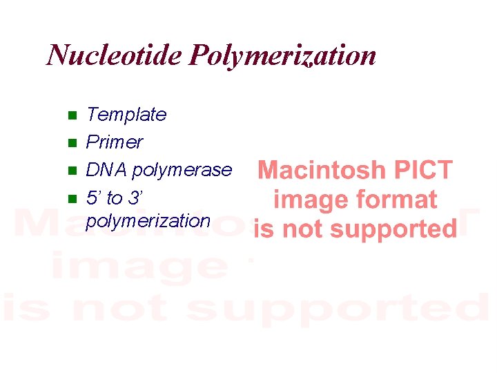 Nucleotide Polymerization Template Primer DNA polymerase 5’ to 3’ polymerization 