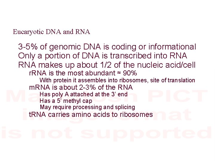 Eucaryotic DNA and RNA 3 -5% of genomic DNA is coding or informational Only