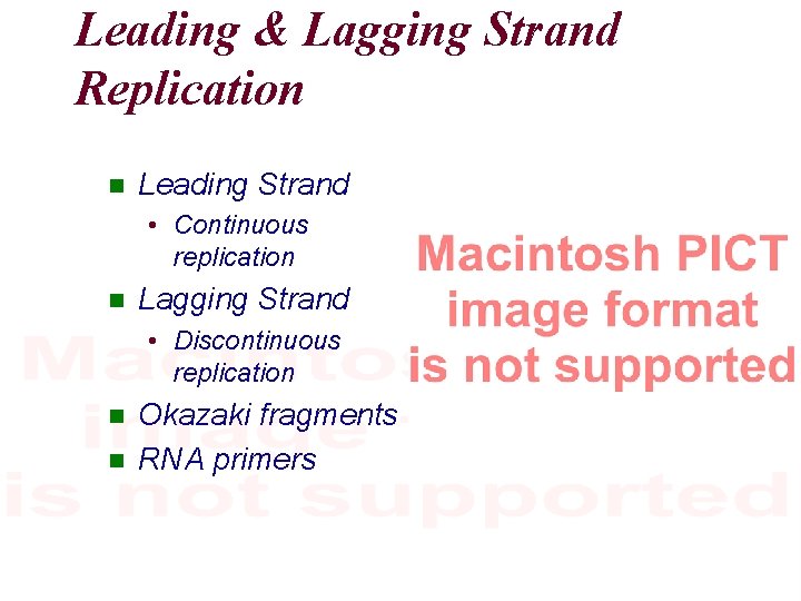 Leading & Lagging Strand Replication Leading Strand • Continuous replication Lagging Strand • Discontinuous