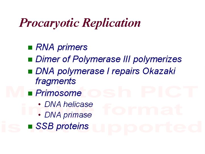 Procaryotic Replication RNA primers Dimer of Polymerase III polymerizes DNA polymerase I repairs Okazaki