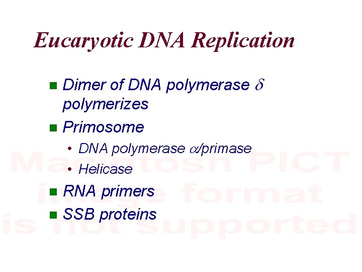 Eucaryotic DNA Replication Dimer of DNA polymerase d polymerizes Primosome • DNA polymerase a/primase