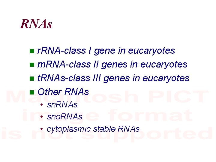 RNAs r. RNA-class I gene in eucaryotes m. RNA-class II genes in eucaryotes t.