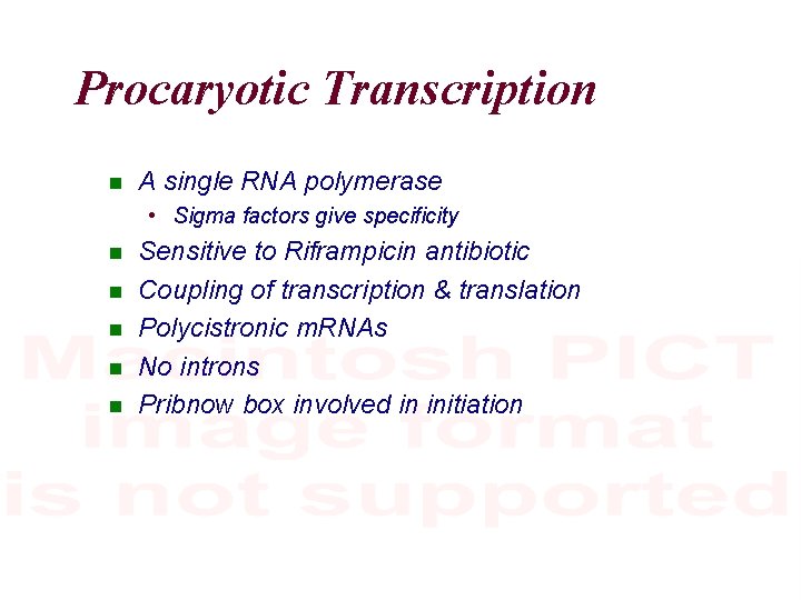 Procaryotic Transcription A single RNA polymerase • Sigma factors give specificity Sensitive to Riframpicin