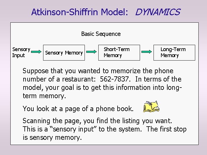 Atkinson-Shiffrin Model: DYNAMICS Basic Sequence Sensory Input Sensory Memory Short-Term Memory Long-Term Memory Suppose