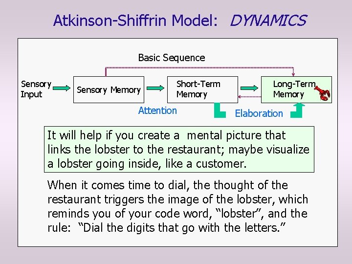Atkinson-Shiffrin Model: DYNAMICS Basic Sequence Sensory Input Sensory Memory Short-Term Memory Attention Long-Term Memory