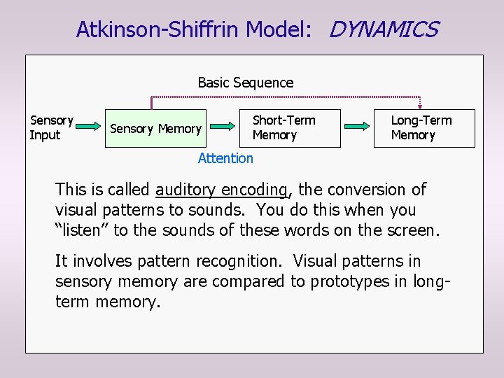 Atkinson-Shiffrin Model: DYNAMICS Basic Sequence Sensory Input Sensory Memory Short-Term Memory Long-Term Memory Attention