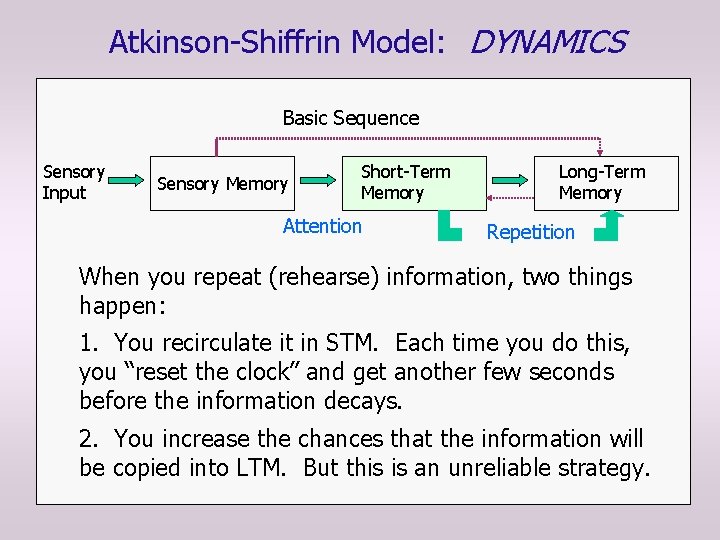 Atkinson-Shiffrin Model: DYNAMICS Basic Sequence Sensory Input Sensory Memory Short-Term Memory Attention Long-Term Memory