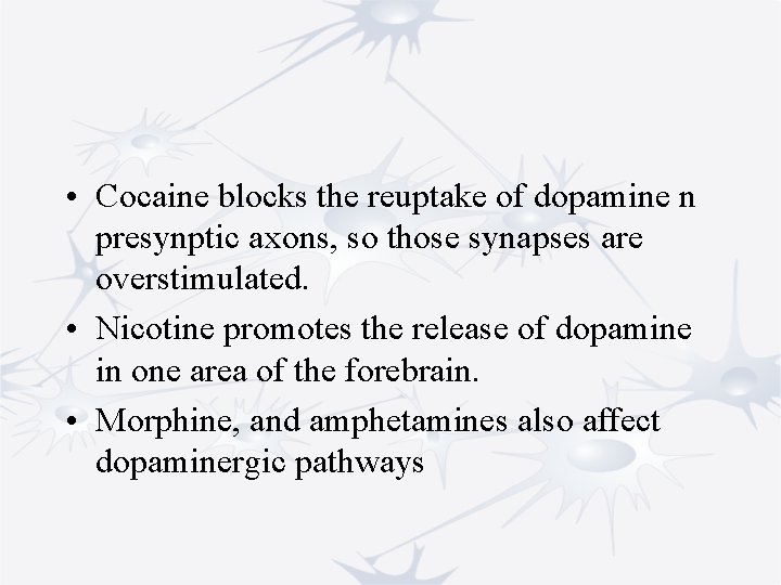  • Cocaine blocks the reuptake of dopamine n presynptic axons, so those synapses