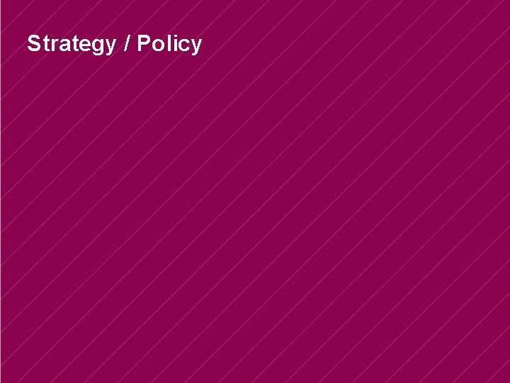 Strategy / Policy 