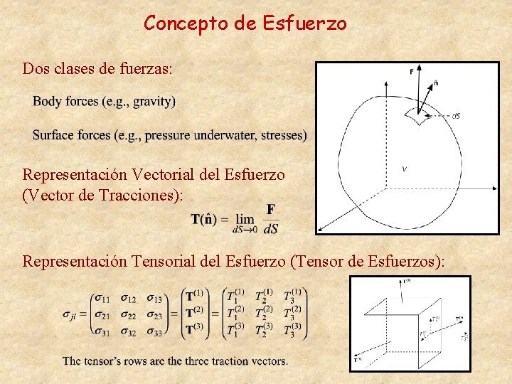 Concepto de Esfuerzo Dos clases de fuerzas: Representación Vectorial del Esfuerzo (Vector de Tracciones):