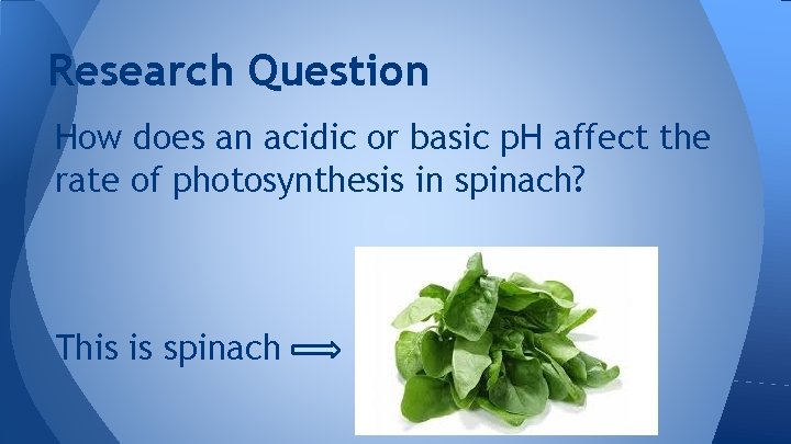 Research Question How does an acidic or basic p. H affect the rate of Research Question How does an acidic or basic p. H affect the rate of