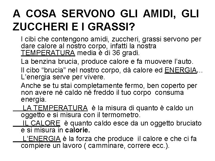 A COSA SERVONO GLI AMIDI, GLI ZUCCHERI E I GRASSI? I cibi che contengono