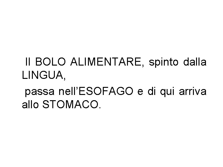 Il BOLO ALIMENTARE, spinto dalla LINGUA, passa nell’ESOFAGO e di qui arriva allo STOMACO.