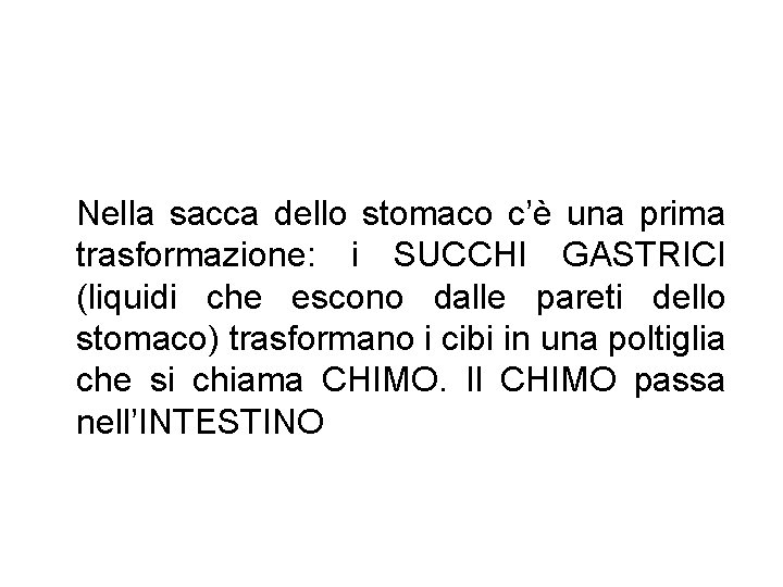 Nella sacca dello stomaco c’è una prima trasformazione: i SUCCHI GASTRICI (liquidi che escono