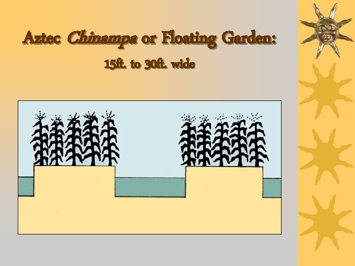 Aztec Chinampa or Floating Garden: 15 ft. to 30 ft. wide 