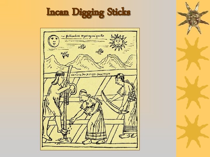 Incan Digging Sticks 