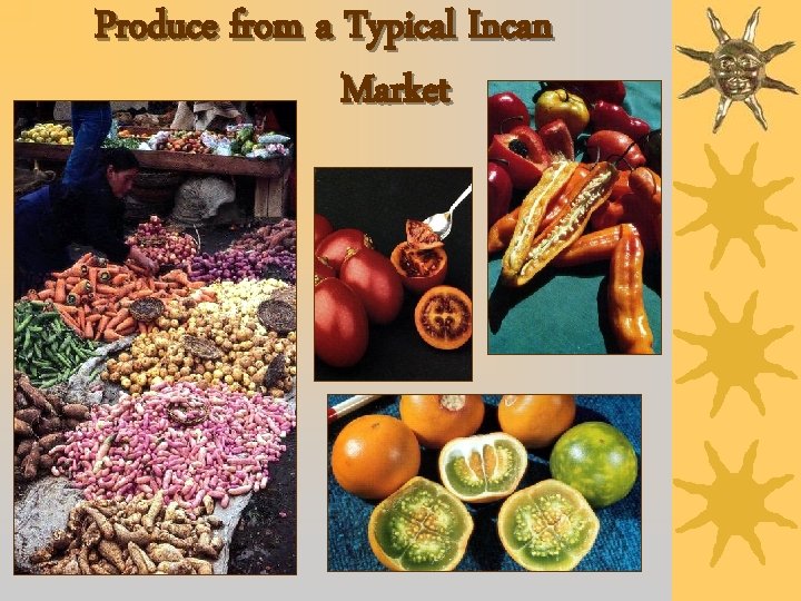 Produce from a Typical Incan Market 