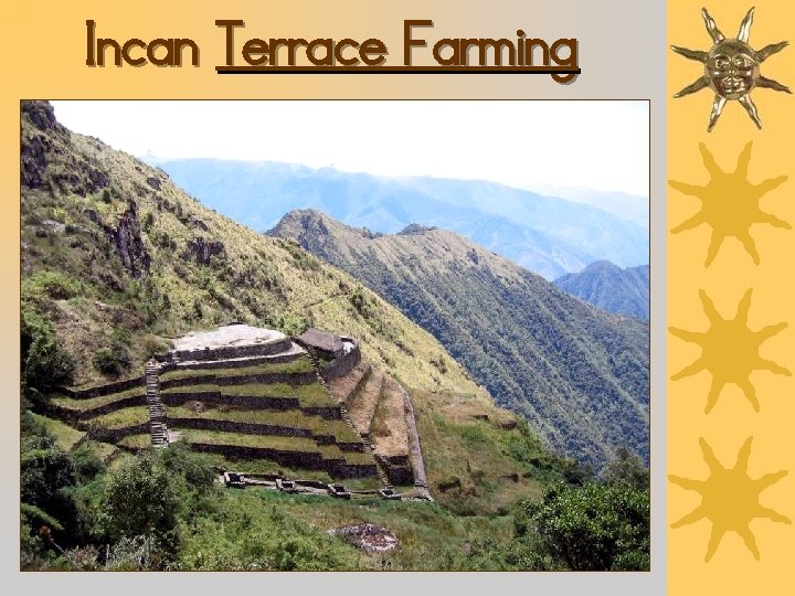 Incan Terrace Farming 