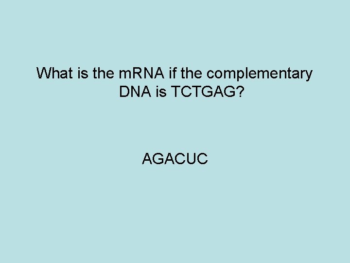 What is the m. RNA if the complementary DNA is TCTGAG? AGACUC 