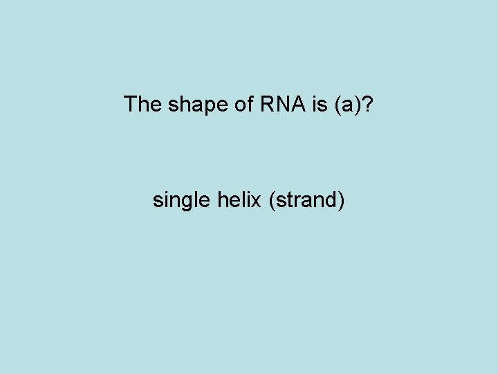 The shape of RNA is (a)? single helix (strand) 