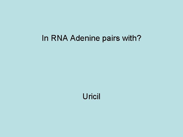 In RNA Adenine pairs with? Uricil 