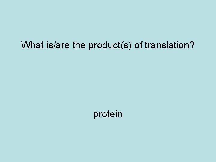 What is/are the product(s) of translation? protein 