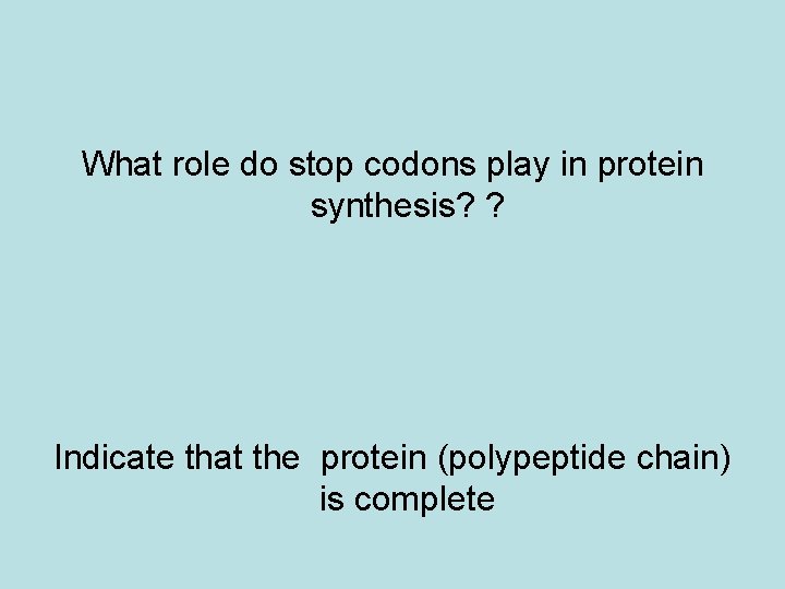 What role do stop codons play in protein synthesis? ? Indicate that the protein