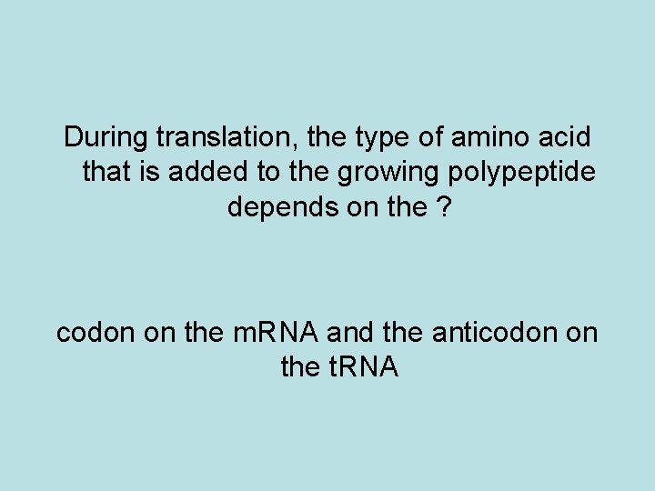 During translation, the type of amino acid that is added to the growing polypeptide
