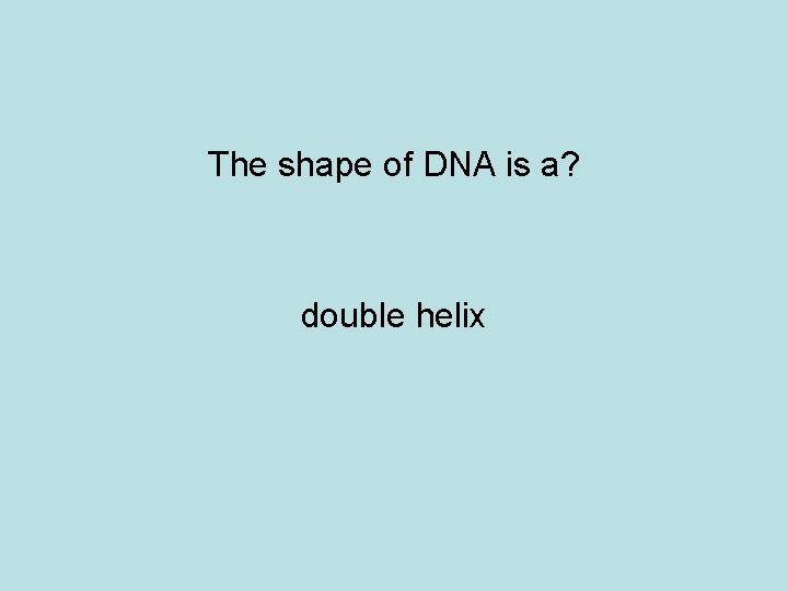 The shape of DNA is a? double helix 