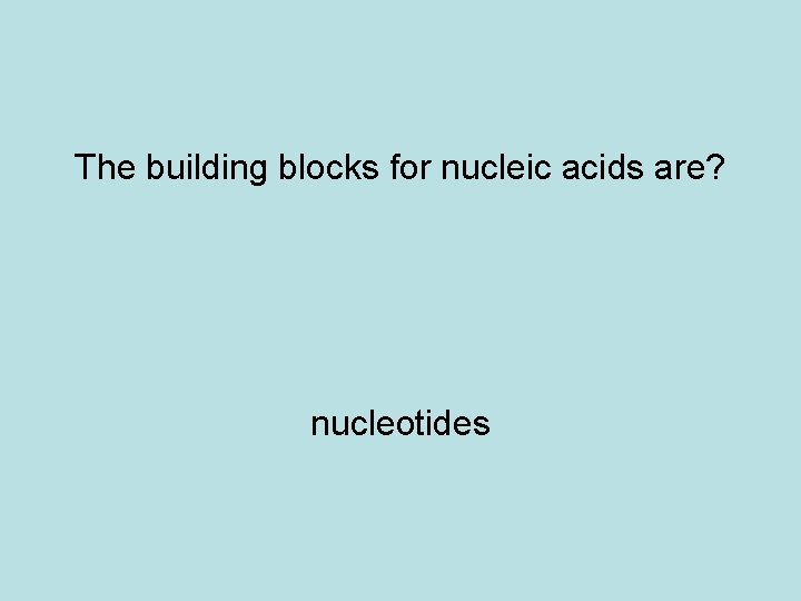 The building blocks for nucleic acids are? nucleotides 