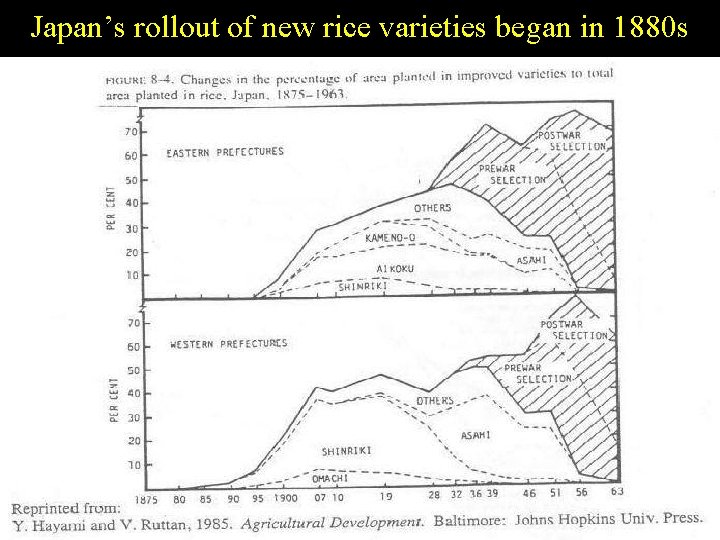 Japan’s rollout of new rice varieties began in 1880 s Slide 22 