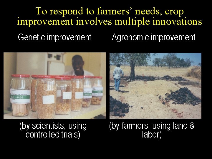 To respond to farmers’ needs, crop improvement involves multiple innovations Genetic improvement Agronomic improvement