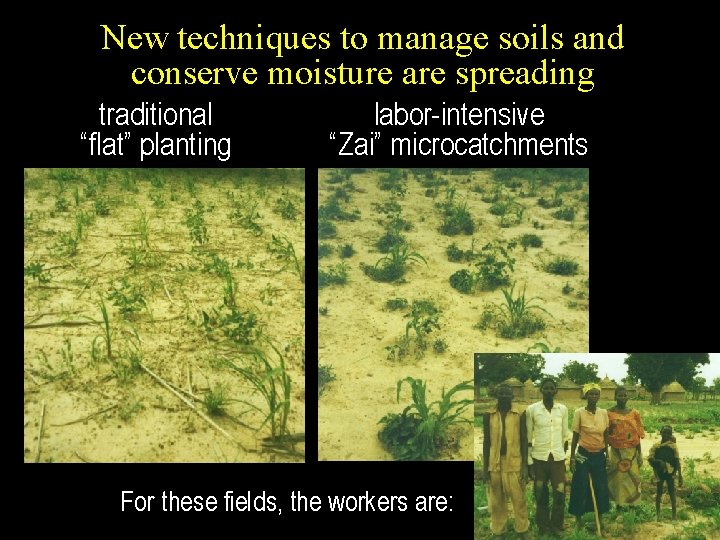 New techniques to manage soils and conserve moisture are spreading traditional “flat” planting labor-intensive