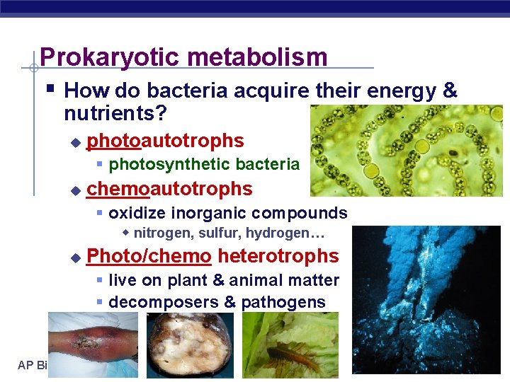 Prokaryotic metabolism § How do bacteria acquire their energy & nutrients? u photoautotrophs §