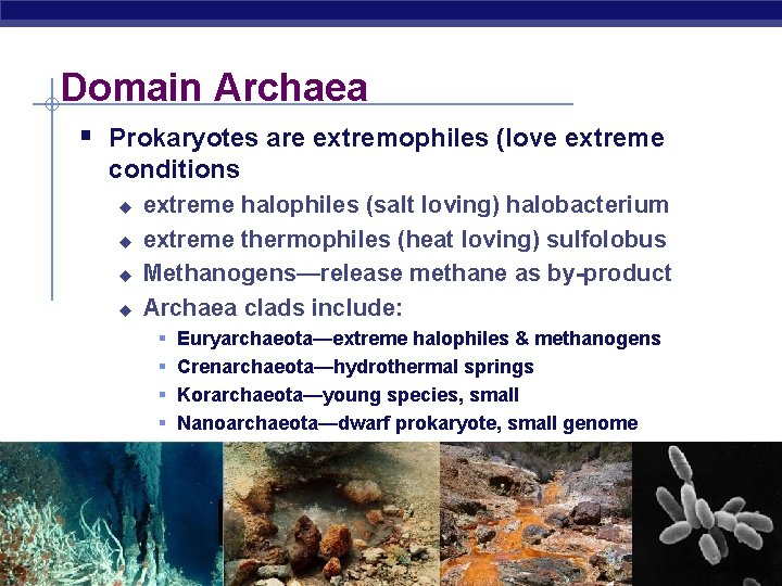 Domain Archaea § Prokaryotes are extremophiles (love extreme conditions u u extreme halophiles (salt