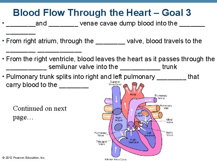 Blood Flow Through the Heart – Goal 3 • ____and ____ venae cavae dump
