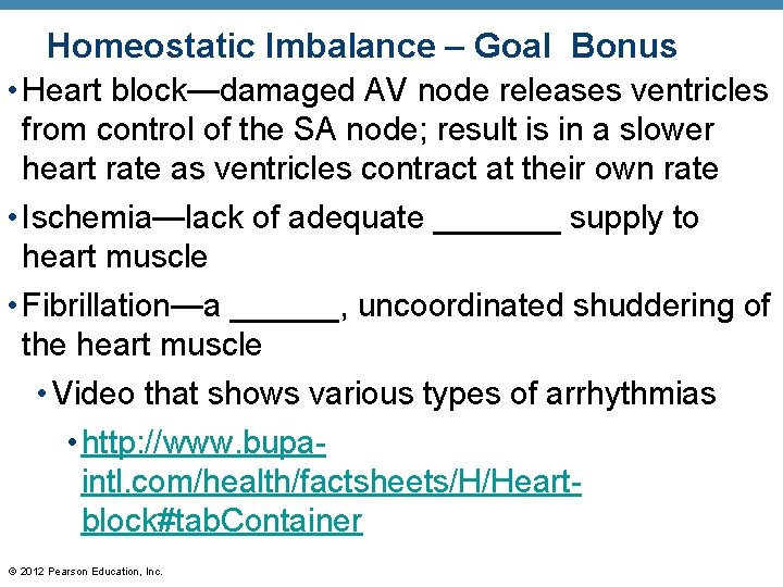 Homeostatic Imbalance – Goal Bonus • Heart block—damaged AV node releases ventricles from control