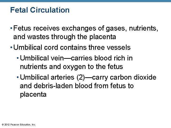 Fetal Circulation • Fetus receives exchanges of gases, nutrients, and wastes through the placenta