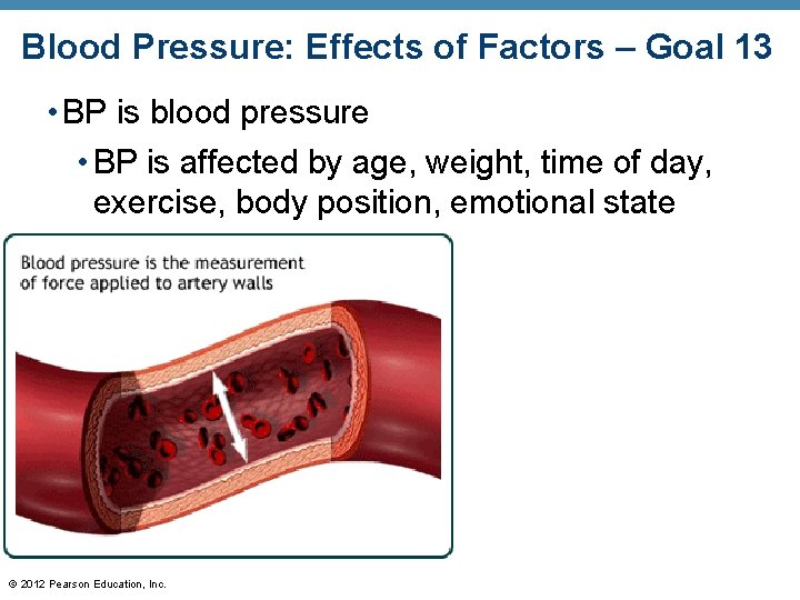 Blood Pressure: Effects of Factors – Goal 13 • BP is blood pressure •