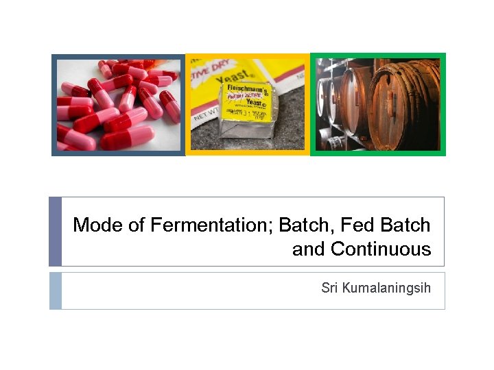 Mode of Fermentation; Batch, Fed Batch and Continuous Sri Kumalaningsih 