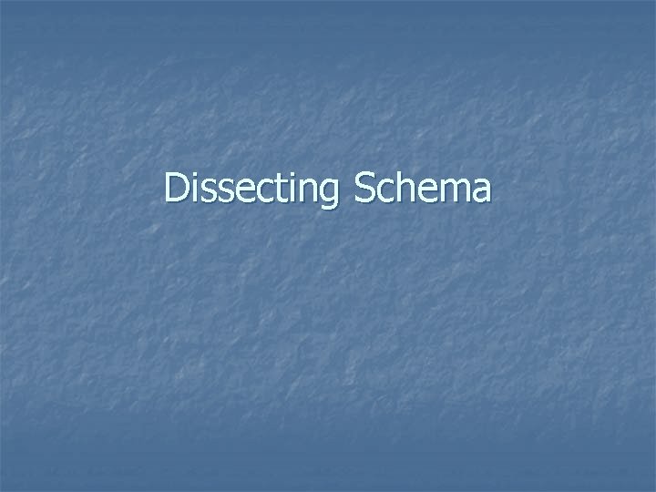 Dissecting Schema 