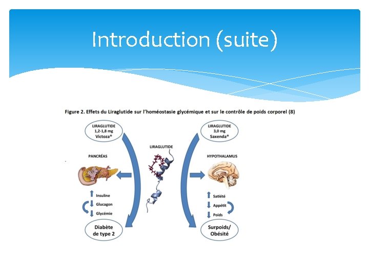 Introduction (suite) Introduction (suite)