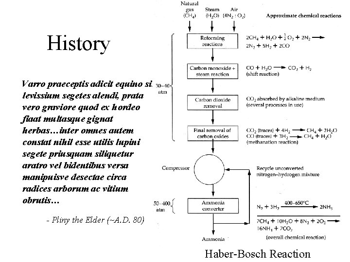 History Varro praeceptis adicit equino sit levissium segetes alendi, prata vero graviore quod ex