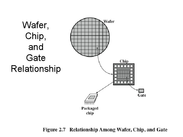 Wafer, Chip, and Gate Relationship Wafer, Chip, and Gate Relationship