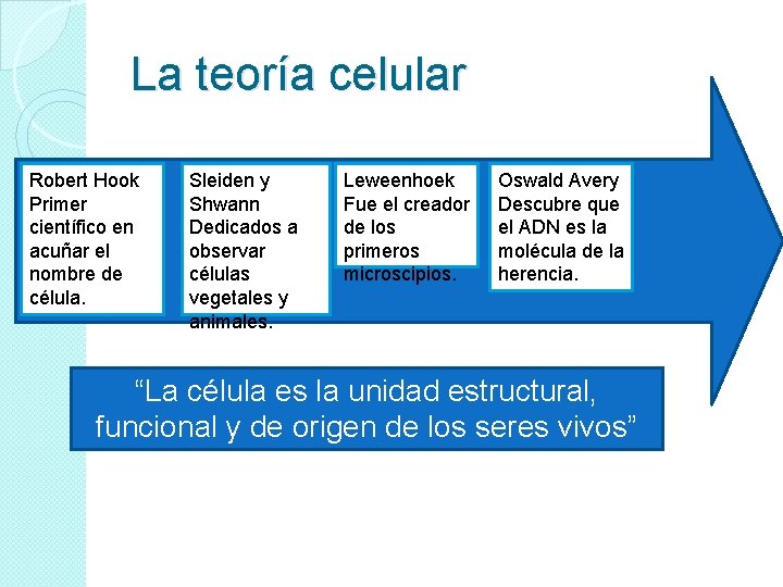 La teoría celular Robert Hook Primer científico en acuñar el nombre de célula. Sleiden