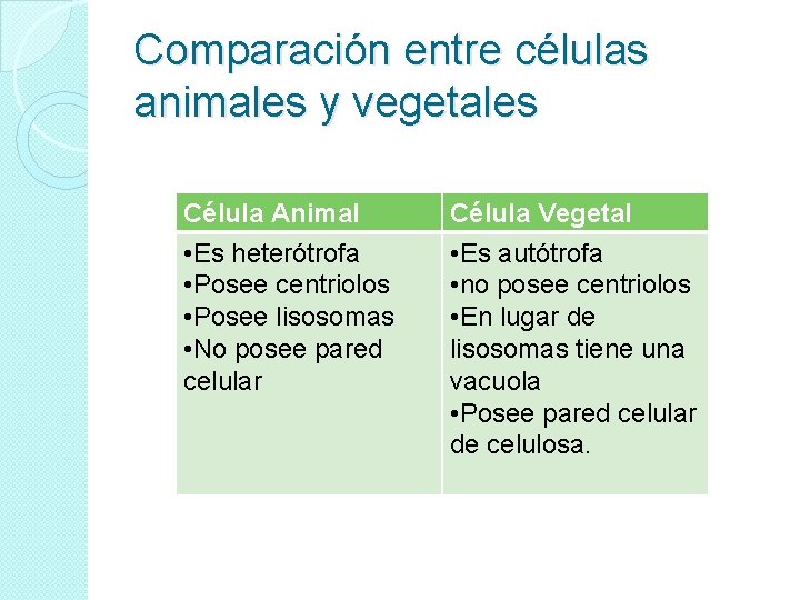 Comparación entre células animales y vegetales Célula Animal • Es heterótrofa • Posee centriolos