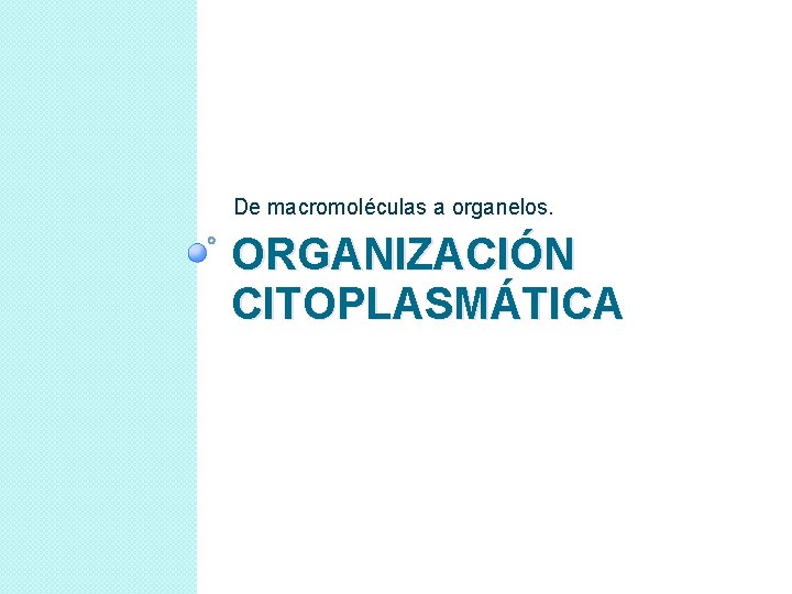 De macromoléculas a organelos. ORGANIZACIÓN CITOPLASMÁTICA 