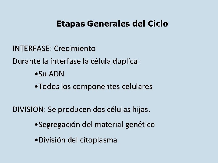 Etapas Generales del Ciclo INTERFASE: Crecimiento Durante la interfase la célula duplica: • Su