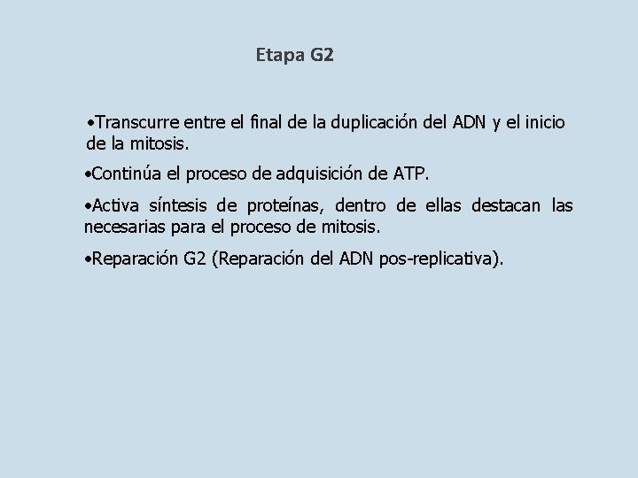 Etapa G 2 • Transcurre entre el final de la duplicación del ADN y